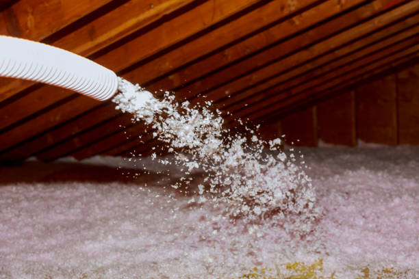 Best Blown-in Insulation  in Petaluma, CA