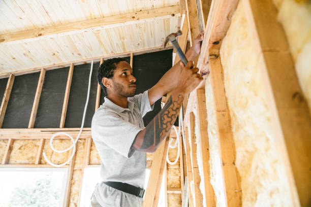 Best Insulation Inspection Services  in Petaluma, CA