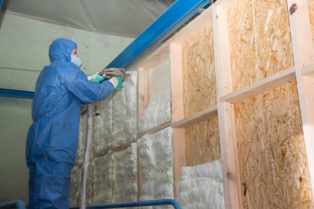Best Local Insulation Services  in Petaluma, CA