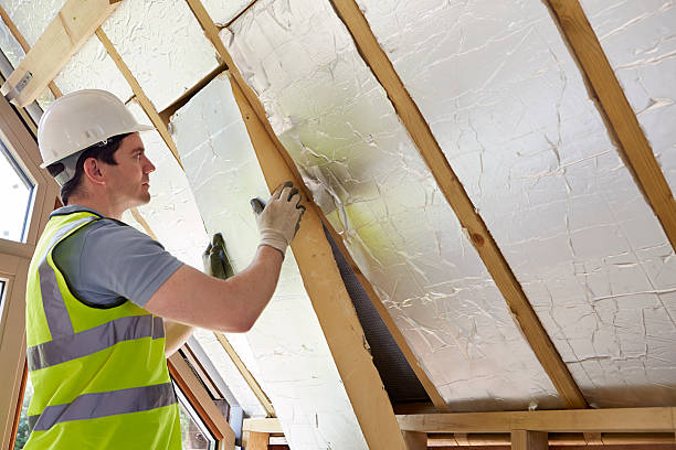 Best Spray Foam Insulation  in Petaluma, CA