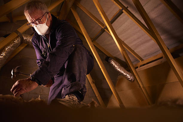 Insulation Repair Services in Petaluma, CA